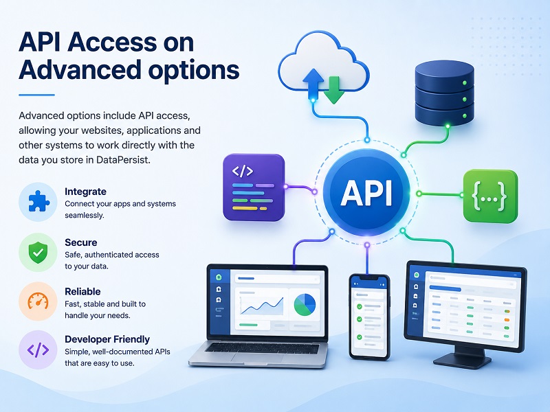 DataPersist API access